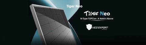 tiger neo